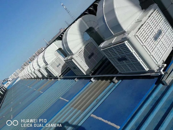 河南金水電纜集團(tuán)負(fù)壓風(fēng)機+冷風(fēng)機降溫工程